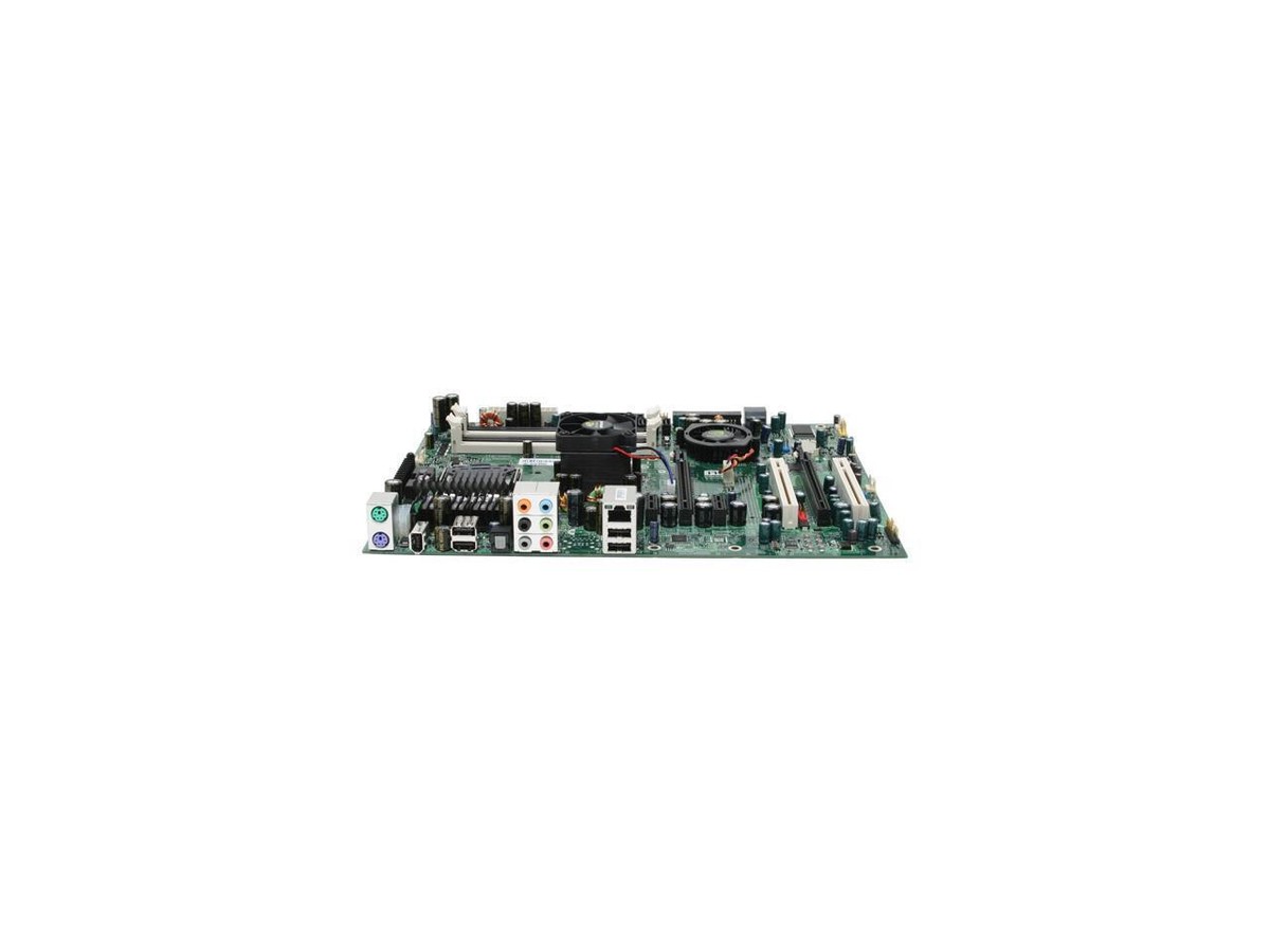 b.i.g.y 2022 BigDog Alpha MP 60