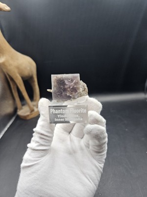 Phantomfluorit aus der Yindu Mine, Innere Mongolei, China   HOCHWERTIG