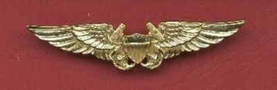 US made full size Navy or Marine Corps Flight Officer Wings Badge USA Made