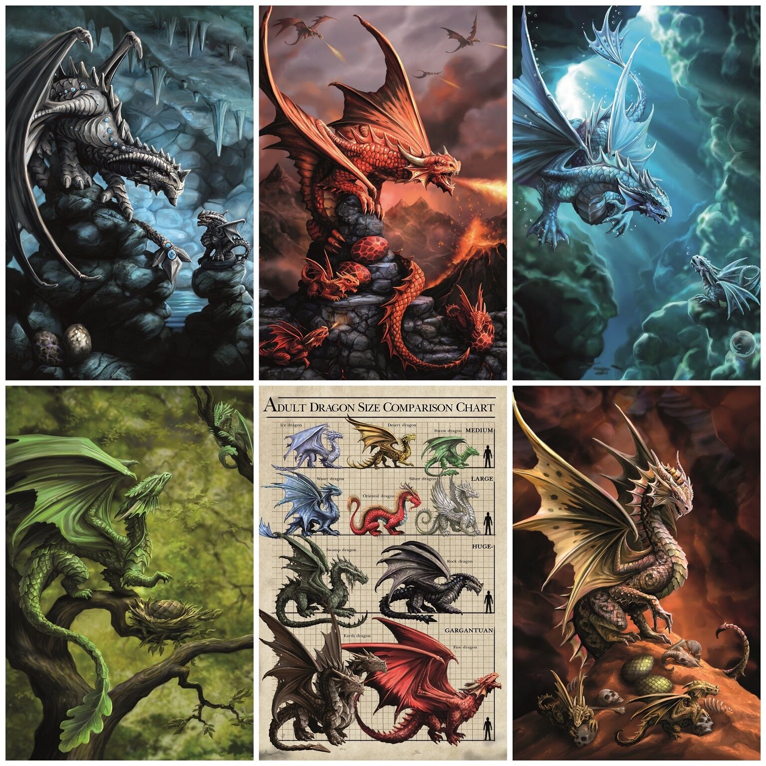 Dragon Comparison Chart