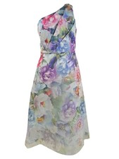 Adrianna Papell Women's One-Shoulder Floral Organza Dress (4, Ivory Multi)