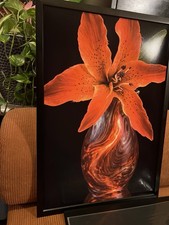 Flower Canvas Wall Art