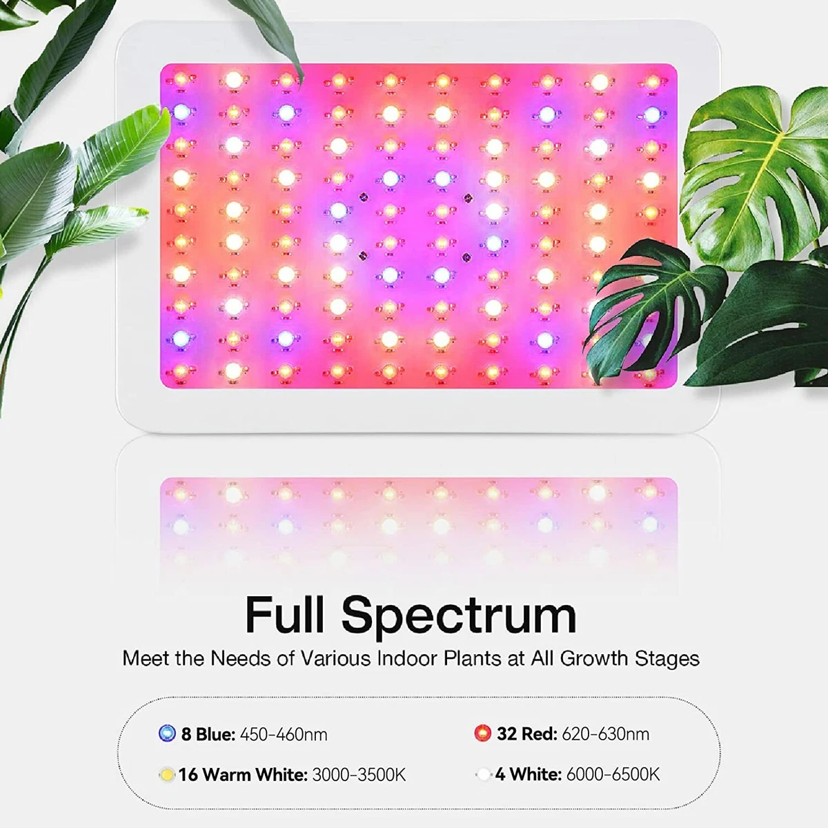 Slaouwo grow light deals
