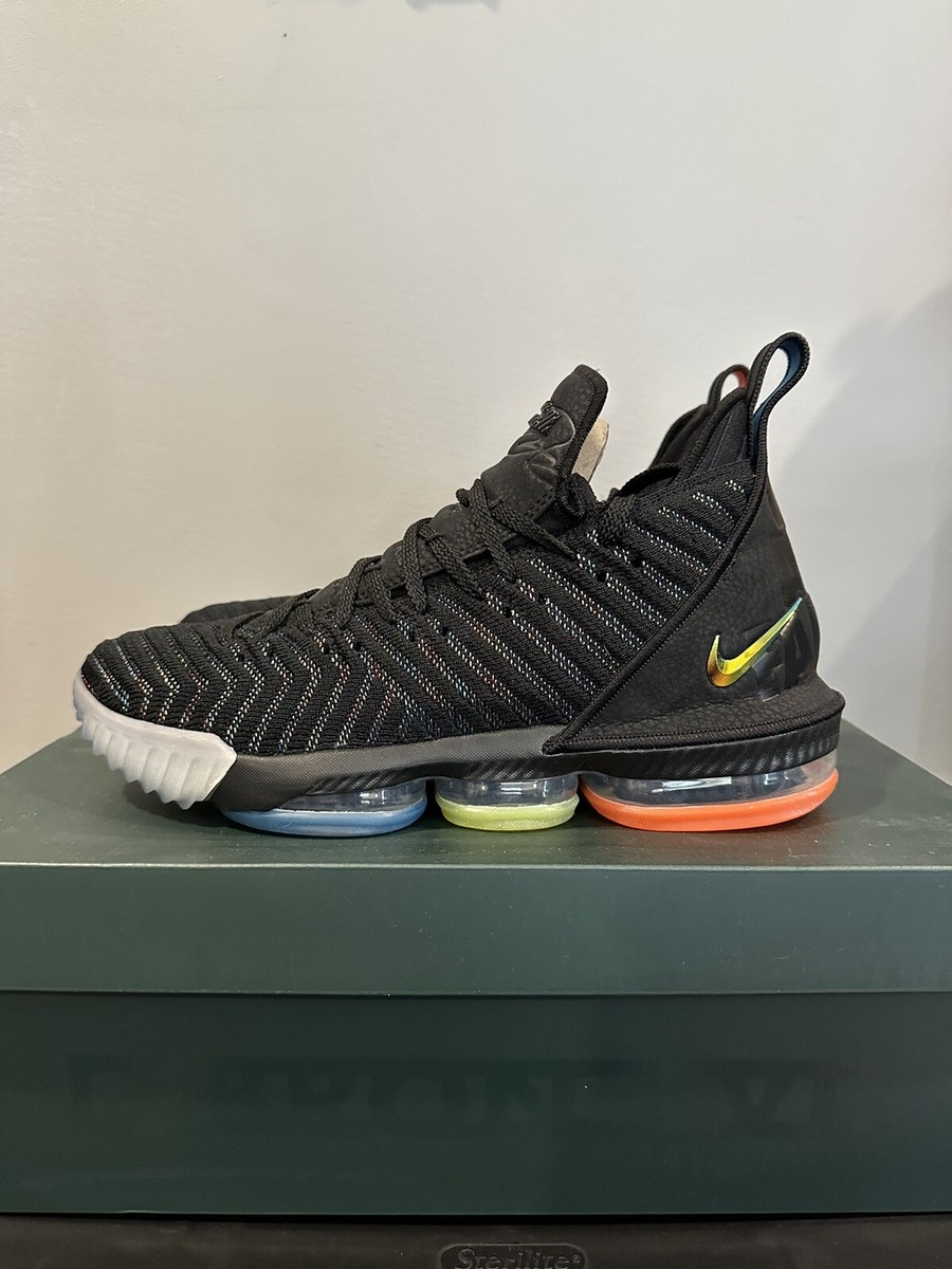 nike lebron 16 we are family