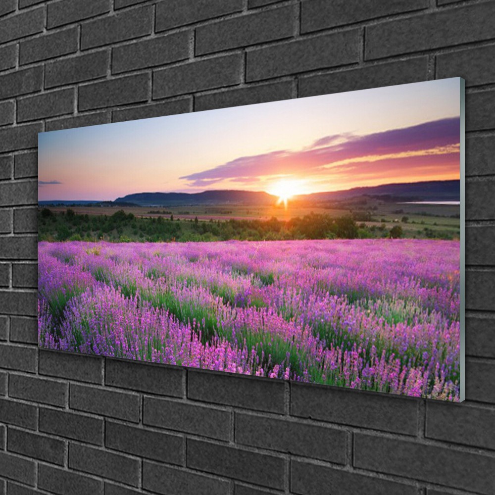 Tableau sur verre anti-reflet 100x50 cm Nature Prairie pour mur sombre