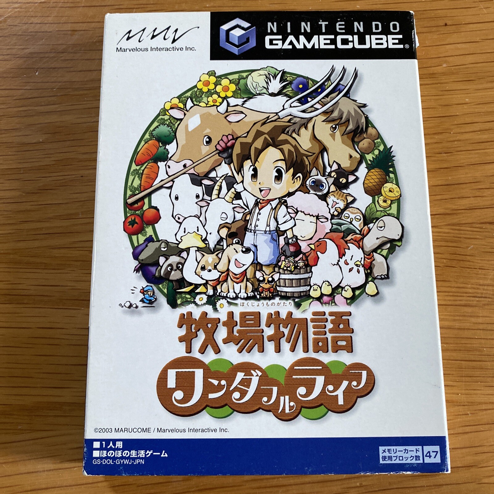 Nintendo GameCube Harvest Moon Wonderful Life Boys Japanese NTSC-J