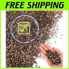 Horticultural Lava Rock 45lb