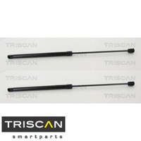 2X Gasfeder FüR Koffer-/Laderaum Triscan 8710292050 DäMpfer GasdäMpfer
