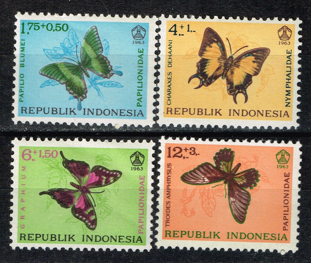 洋書 Butterflies from China, Japan, and Corea