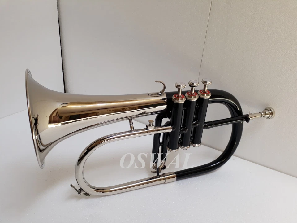 Cuerno Flugel NEGRO acabado latón paso BB con estuche rígido y boquilla + ENVÍO RÁPIDO Foto 4 de 4