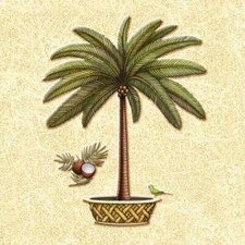 Ceramic Backsplash Tile Mural Floral Kitchen/Bathroom - Coconut Palm 4
