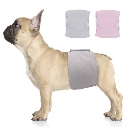 What Is A Belly Band For Female Dogs