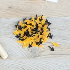 Bild 5 von 12