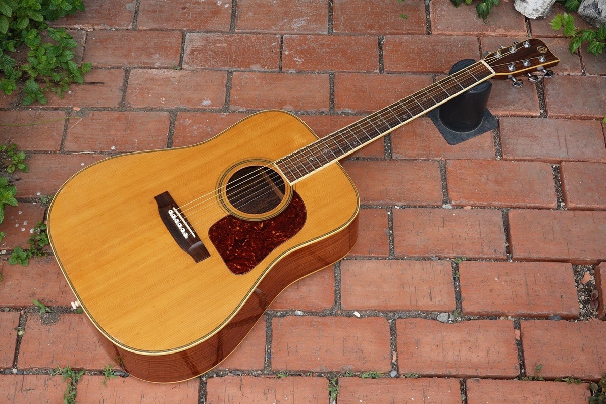 TAKAMINE ELITE TW30 アコースティックギター ハードケース付 TAKAMINE ELITE TW30 アコースティックギター ハードケース付