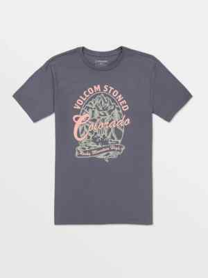 Volcom Stoned Colorado Short Sleeve Mens T shirt Dark Slate L NWT