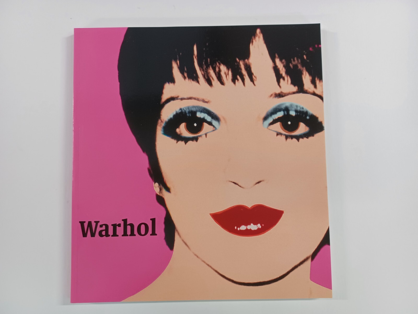 Andy Warhol: A Celebration of Life and Death by Keith Hartley Paperback VGC