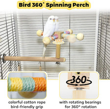 Bird Perch Swing Toy Combo Toys Parrots 360 Spin Function Hanging Parakeet Birds
