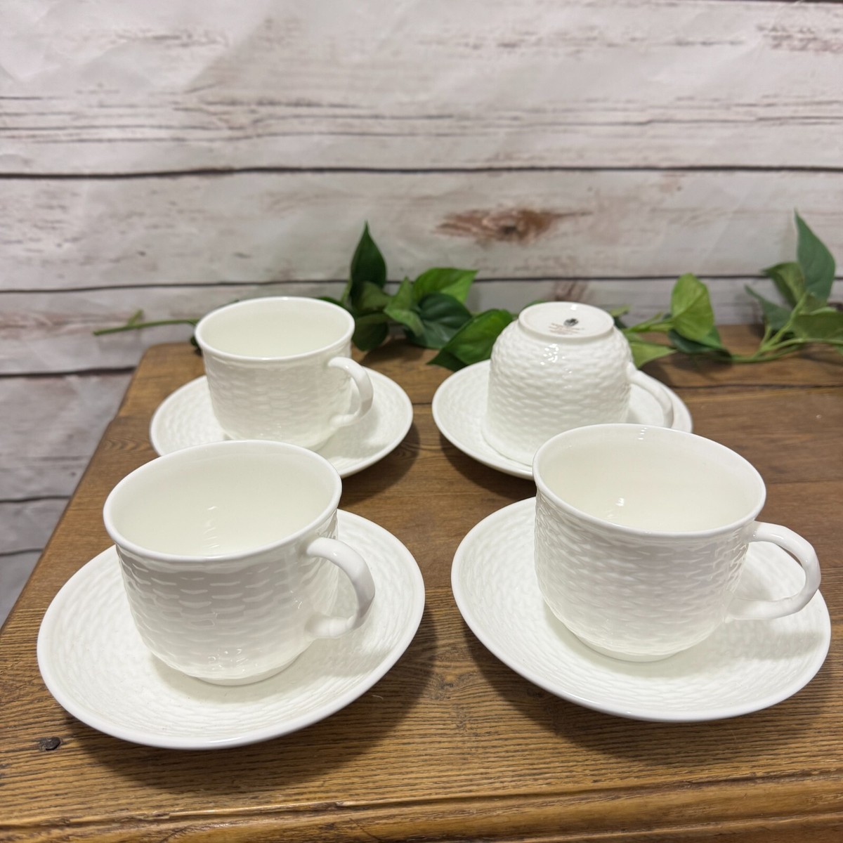 ウェジウッド ボーンチャイナ ナンタケット5枚 【公式通販】