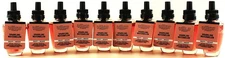 10 Bath & Body Works SPARKLING WATERMELON Home Wallflowers Fragrance Oil Refills