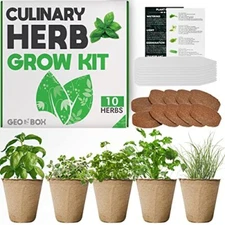 Herb Garden Indoor Herb Garden Starter Kit Easily Grow 10 Herbs Seeds - Indoor