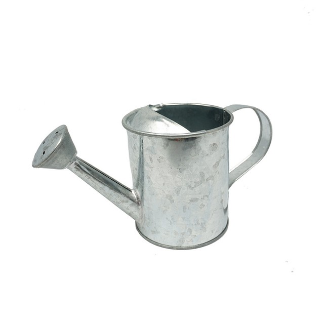 Mini Galvanized Metal Watering Can, 33/4Inch eBay