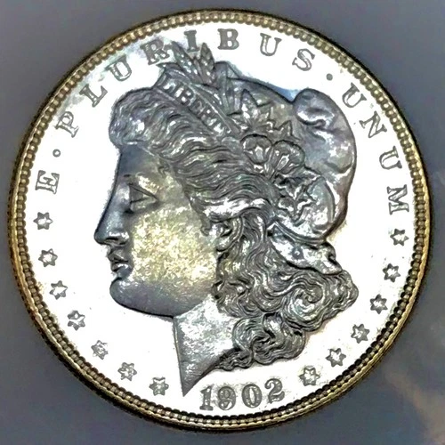 1902 P MORGAN DOLLAR! PROOF LIKE STUNNER$$ GORGEOUS EYE APPEAL! MS+++++NR #64384