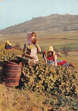 18-SANCERROIS-N�3323-D/0159