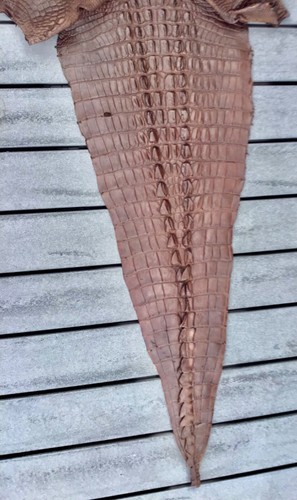 Soft Genuine Crocodile Leather Hide Skin Unique exotic large Display Decor - Picture 3 of 3