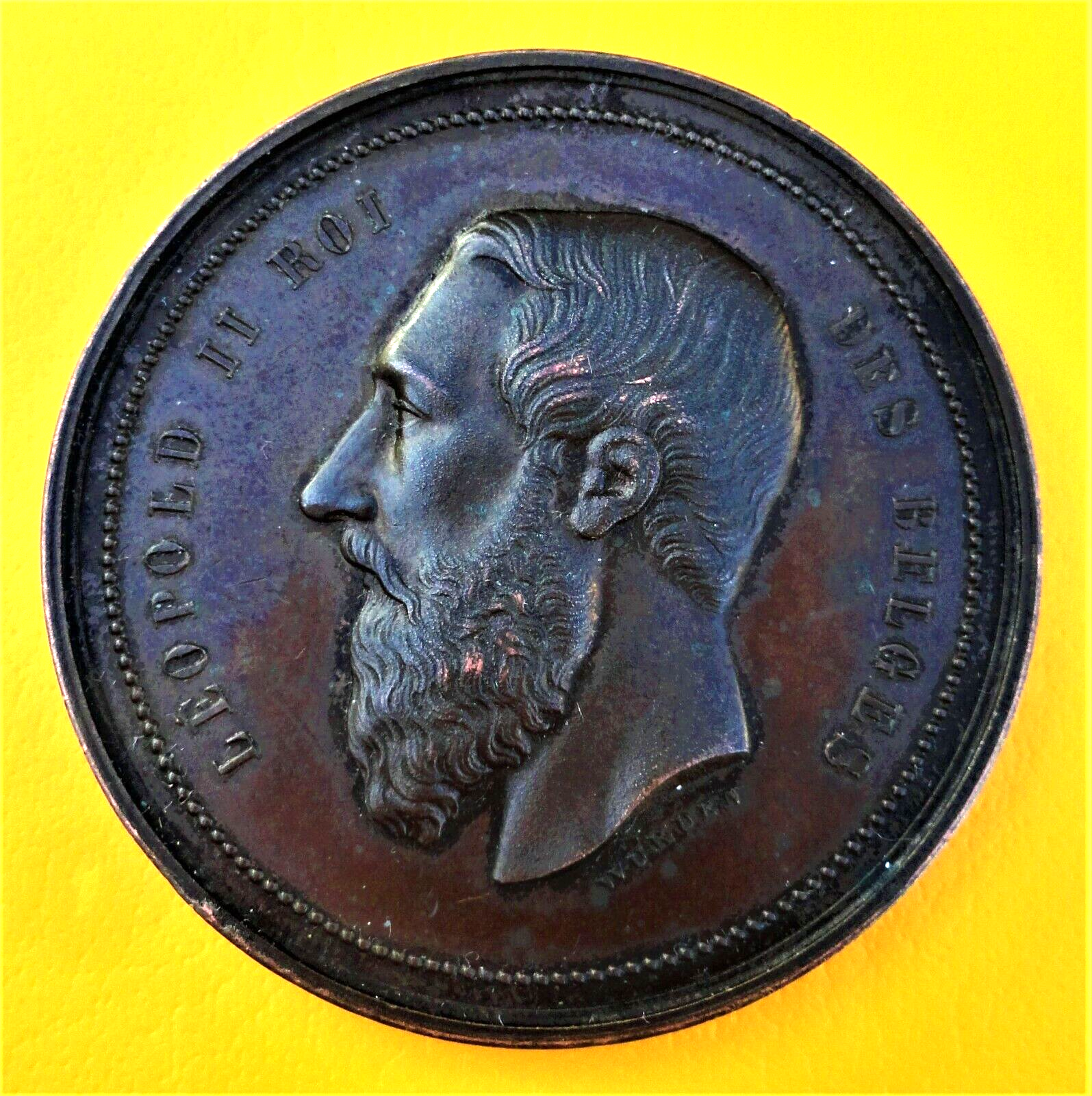 Foto 1 di 9