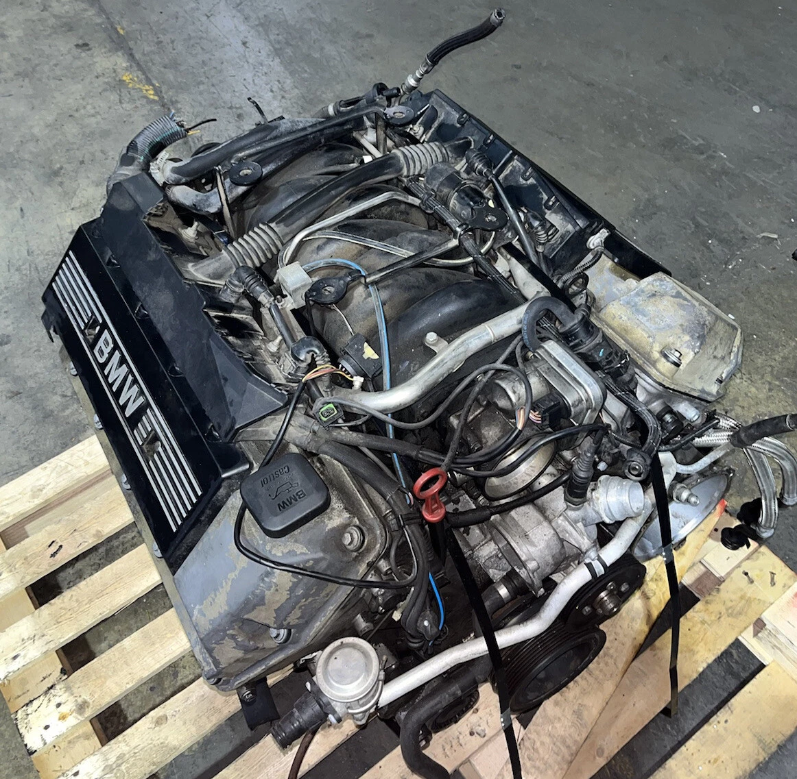 BMW V8 M62 And M62tu Common Antifreeze Coolant Leaks X5, 52 OFF