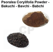 Psoralea Corylifolia Powder Bakuchi Bavchi Babchi Powder 50gm 1.7 OZ 