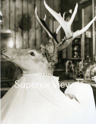 Old Time Hunting Deer Hunting Deer With Huge Rack In Barbers Chair YOU ...