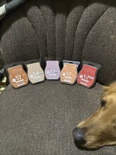 scentsy wax bars