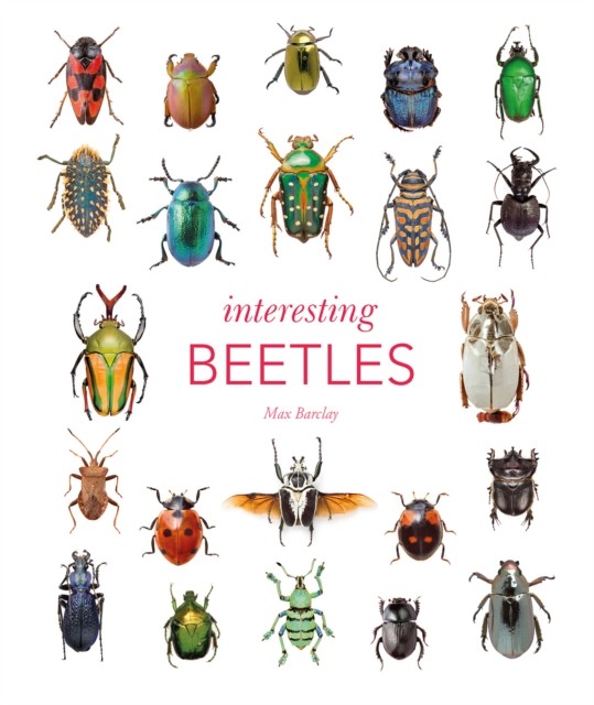 Interesting Beetles by Maxwell Barclay (Hardback Book) - Image 3