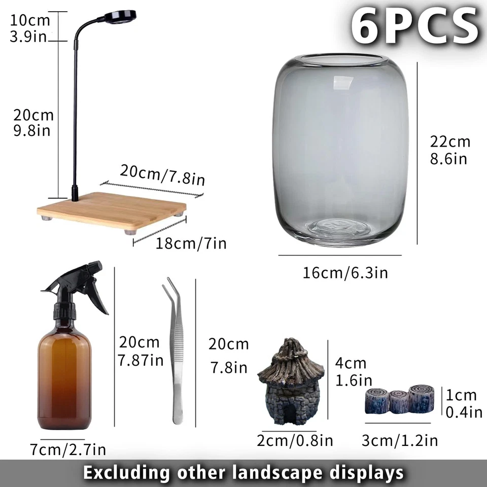 Terrario de plantas de vidrio 6,3"X8,6" pulgadas suculento plantador de aire helecho musgo micro-... Foto 2 de 4