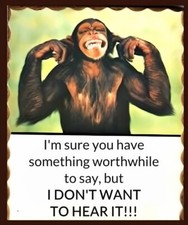I'm Sure You Have Something Worthwhile To Say BUT DON'T WANT TO HEAR IT! MAGNET