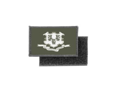 Toppa Ricamata Termoadesiva Bandiera USA E Florida | 7x4,5 Cm, 100% Poliestere, Ricamo Americano, Per Personalizzare Abbigliamento E Accessori