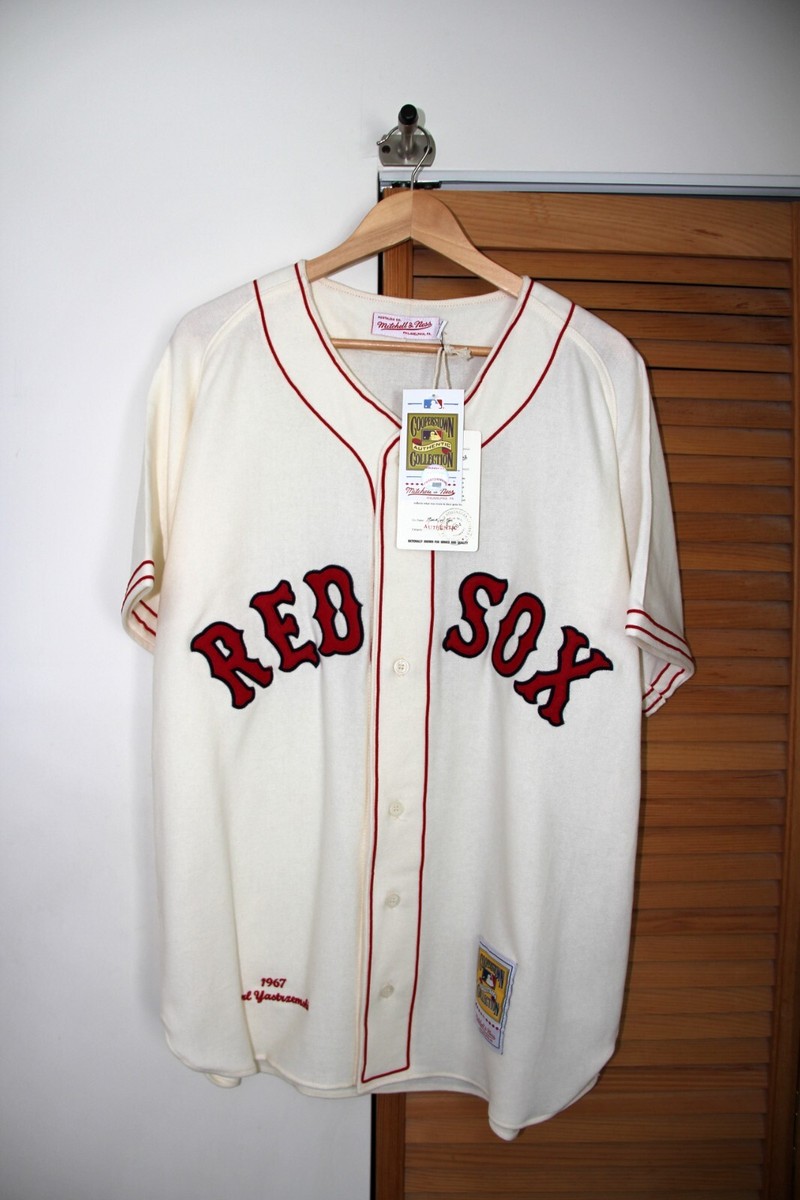 mitchell & ness BOSTON RED SOX 半袖　ユニホーム youth-mitchell-and-ness-ted-