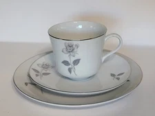 Queen's Royal China Japan Tea Trio Cup & Saucer Dessert Plate Gray Rose Silver