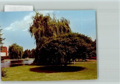 40071504 - 4670 Luenen Weeping Willow by the Lake