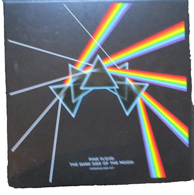 Pink Floyd - Dark Side Of The Moon (Immersion Box Set) / Neuwertig,OHNE MURMELN