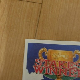 SNK STAKES WINNER NeoGeo CD Catalog / Promo Flyer, A4 4fold, Unused, No Fading,