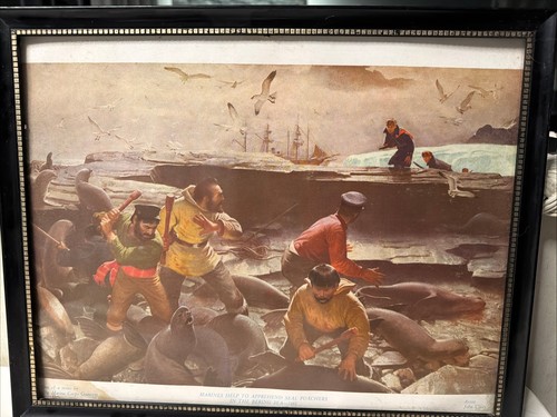 Vintage Marines Help Apprehend Seal Poachers In The Bearing Sea 1891 J. Clymer 