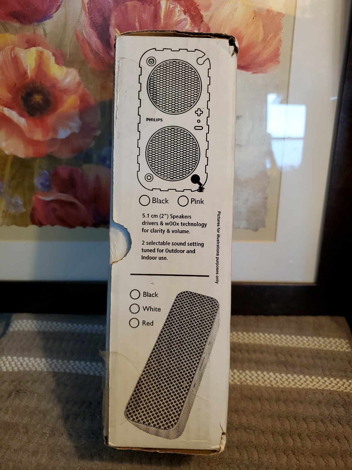 philips outdoor speakers