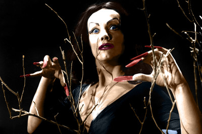 Plan 9 from Outer Space 14 x 11'' Photo Print