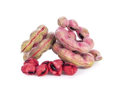 40+ Manila Tamarind Seedss (Pithecellobium dulce) For Planting