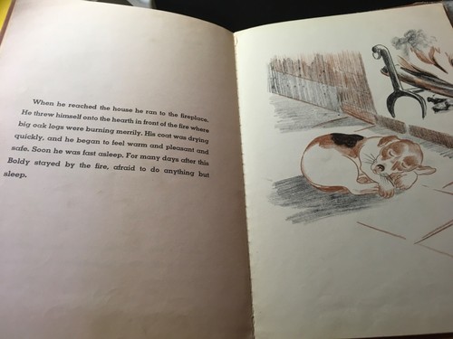 Boldly by Nils Hogner ~ children's book ~ copyright 1953 - Picture 3 of 3