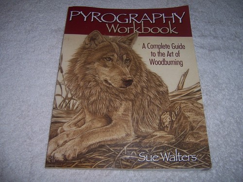 Pyrography Workbook A Complete Guide to the Art of Woodburning Sue Walters pb