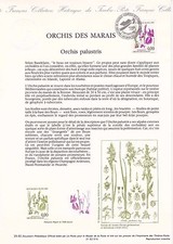 Document Philatélique 1er Jour : 25 1992 - Orchis des Marais