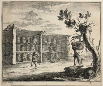 Bienenhaus Bienenkörbe Bienenschwarm Imker Kupferstich von J.W. Meil 1774